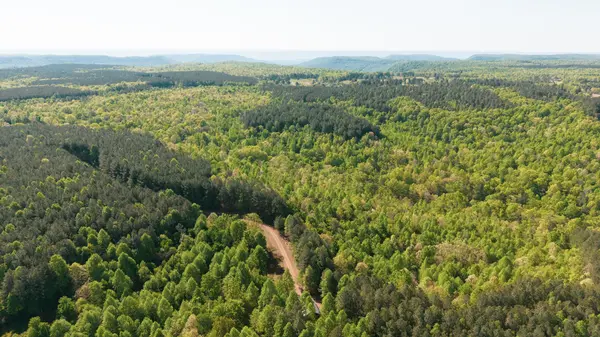 0 Browns Trace Road, South Pittsburg, TN 37380