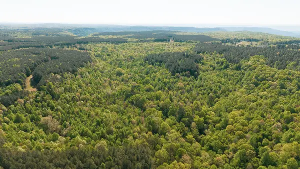 0 Browns Trace Road, South Pittsburg, TN 37380