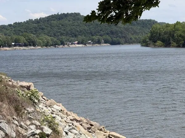 0 WC Pickett Road, Clifton, TN 38425