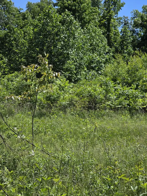 806 Brandon Hollow, Lynchburg, TN 37352