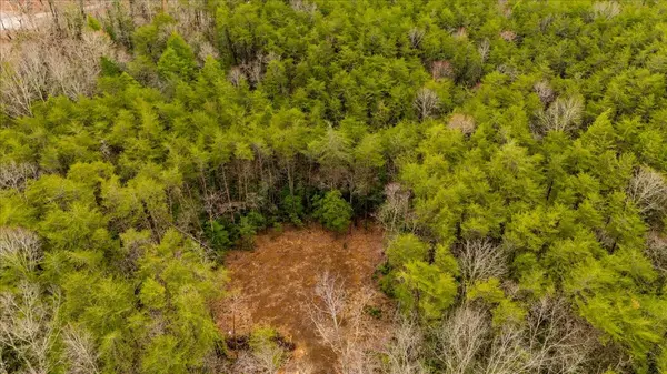 0 Timberwood Trce, Monteagle, TN 37356