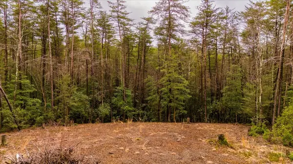0 Timberwood Trce, Monteagle, TN 37356