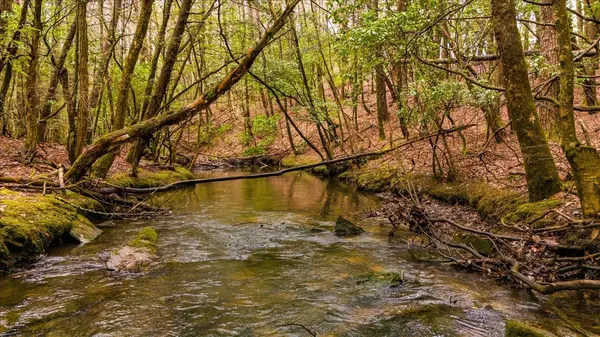 0 Timberwood Trce, Monteagle, TN 37356