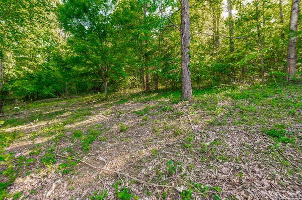 1170 James Brown Rd, Westmoreland, TN 37186