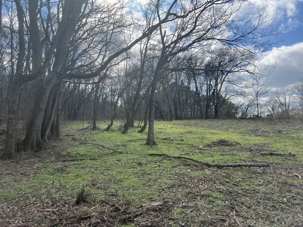 917 1st Ave, Mount Pleasant, TN 38474