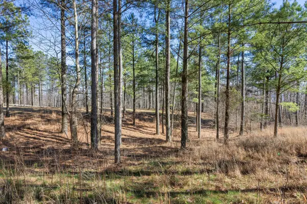0 Prospectors Way, Jasper, TN 37347