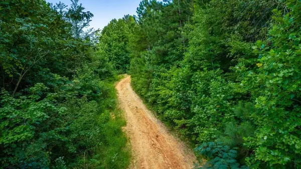 359 Co Rd 4, Calhoun, TN 37309