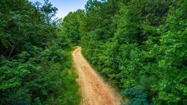 359 Co Rd 4, Calhoun, TN 37309