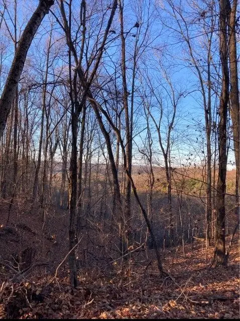 359 County Road 4, Calhoun, TN 37309