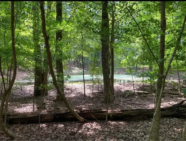 359 County Road 4, Calhoun, TN 37309