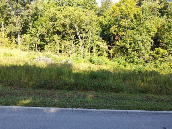 0 Shadows Lawn Drive, Athens, TN 37303