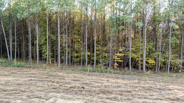 0 Legacy Drive, Guild, TN 37340