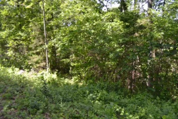 0 Beauchamp Rd, Burkesville, KY 42717