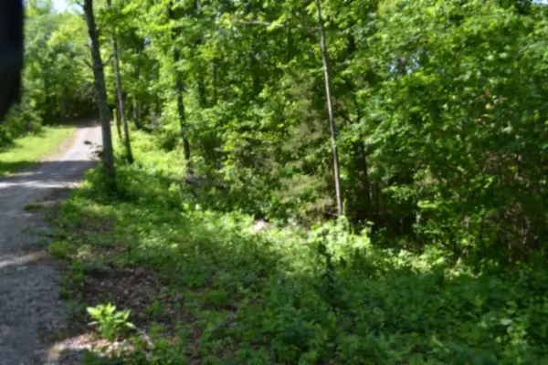 0 Beauchamp Rd, Burkesville, KY 42717