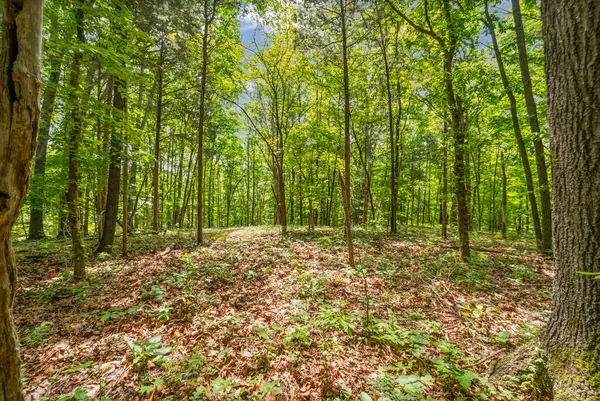 1 Budds Creek Road, Palmyra, TN 37142