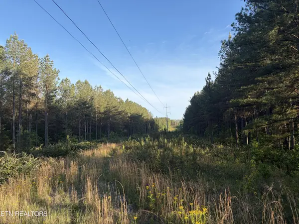 68 Black Bear Lane, Sunbright, TN 37872