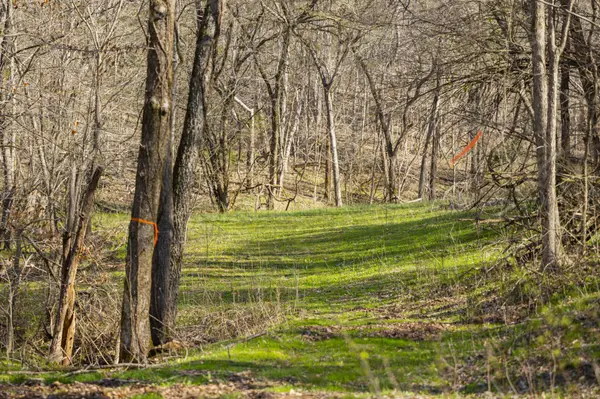 4250 Delina Rd, Cornersville, TN 37047