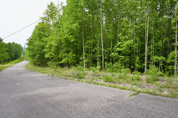 0 Valley View Dr, Spencer, TN 38585