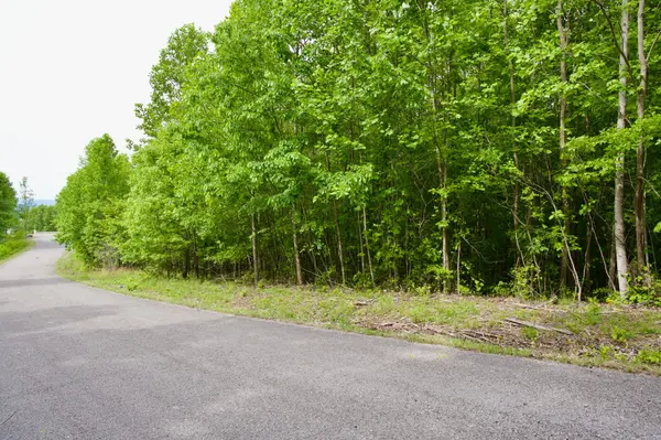 0 Valley View Dr, Spencer, TN 38585