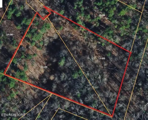 251 Mine Hollow Rd, Reliance, TN 37369