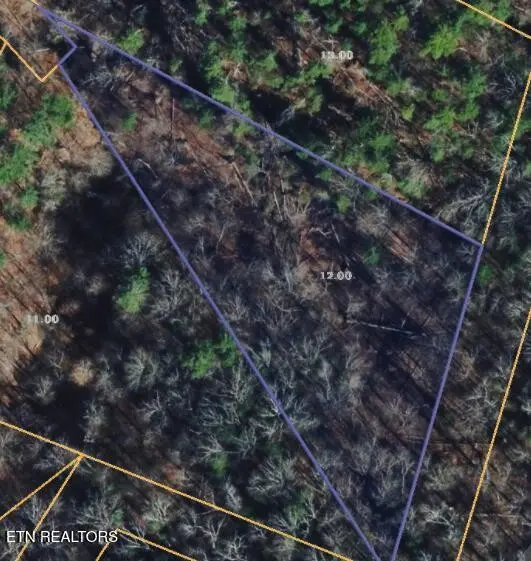 251 Mine Hollow Rd, Reliance, TN 37369