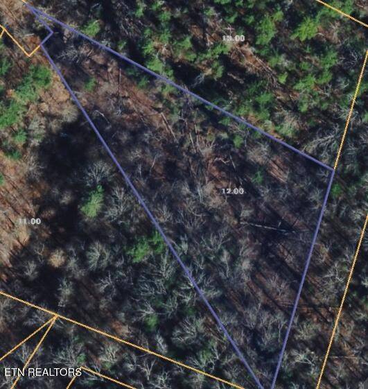 251 Mine Hollow Rd, Reliance, TN 37369