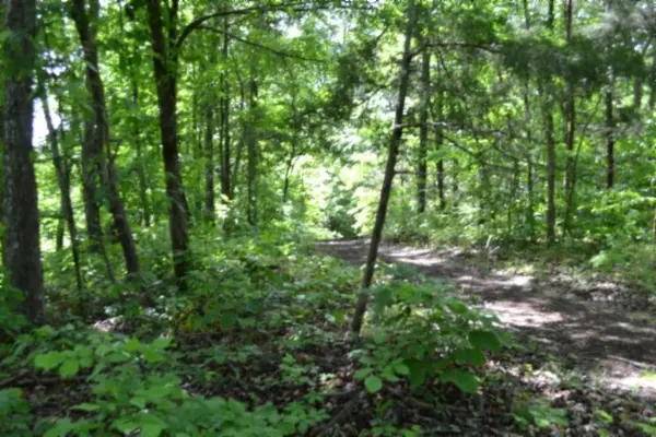 0 Beauchamp Rd, Burkesville, KY 42717