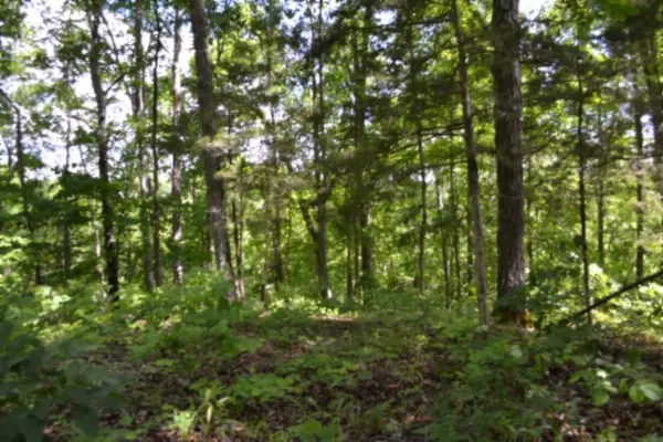 0 Beauchamp Rd, Burkesville, KY 42717