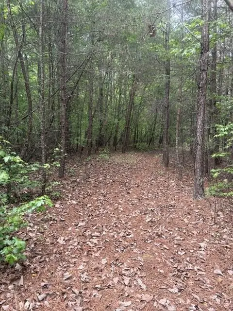 0 Candies Creek Road #SW, Mc Donald, TN 37353