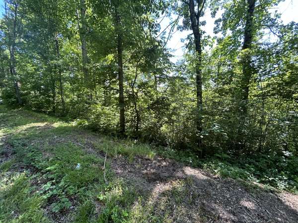 0 Dr Johnson Road, Crandall, GA 30711
