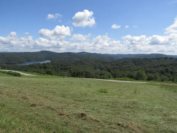 48 Swan Ridge Rd #E, Hilham, TN 38568