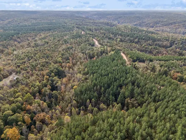 0 Old Mail Road, Duck River, TN 38454