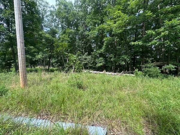 64 Blackwood Dr, Nunnelly, TN 37137