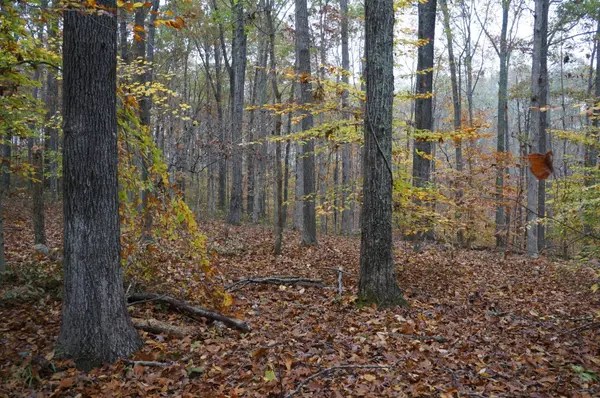 5671 Pinewood Rd, Franklin, TN 37064