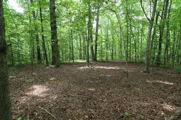 5671 Pinewood Rd, Franklin, TN 37064