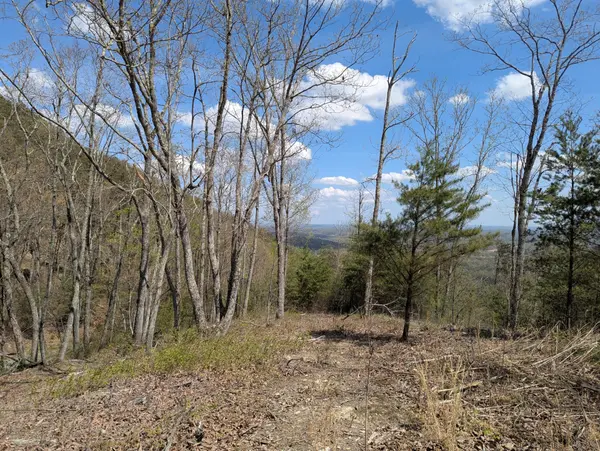10 Escape Drive, Evensville, TN 37332
