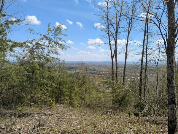 10 Escape Drive, Evensville, TN 37332