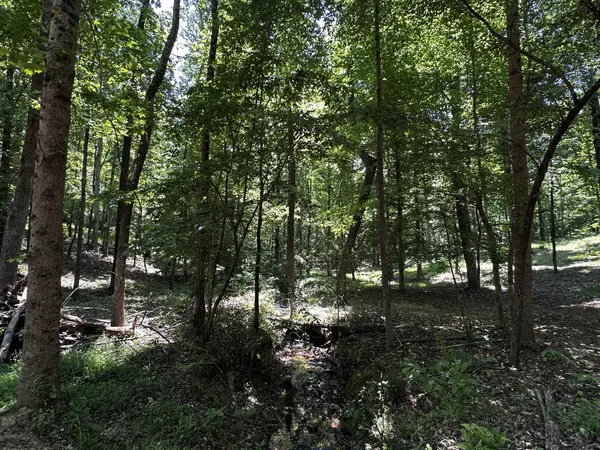 0 Littrell Road, Loretto, TN 38469
