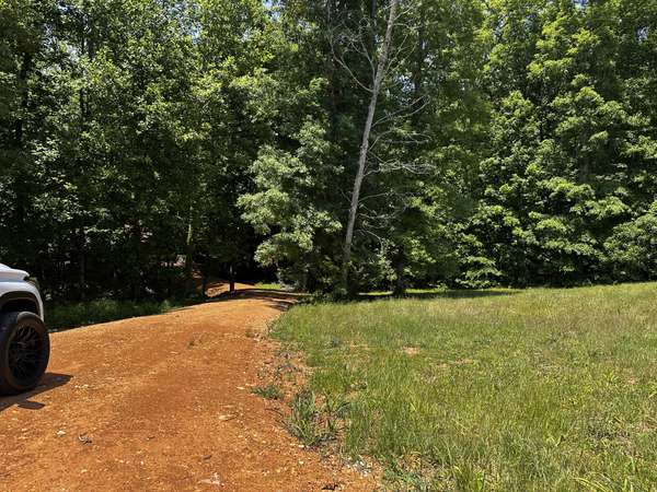 0 Littrell Road, Loretto, TN 38469