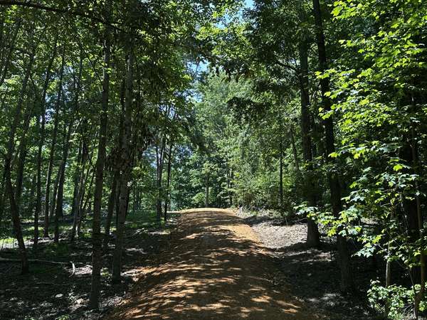 0 Littrell Road, Loretto, TN 38469