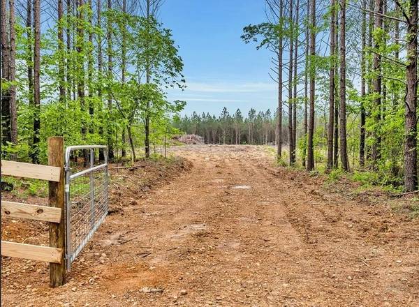 112 Cabin Rd, Hohenwald, TN 38462