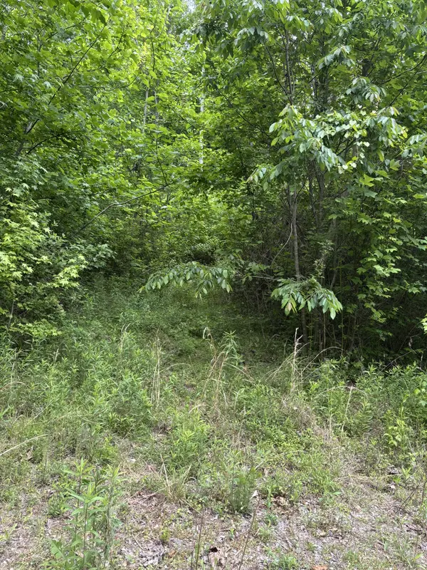 225 Hollow Road, Whitwell, TN 37397