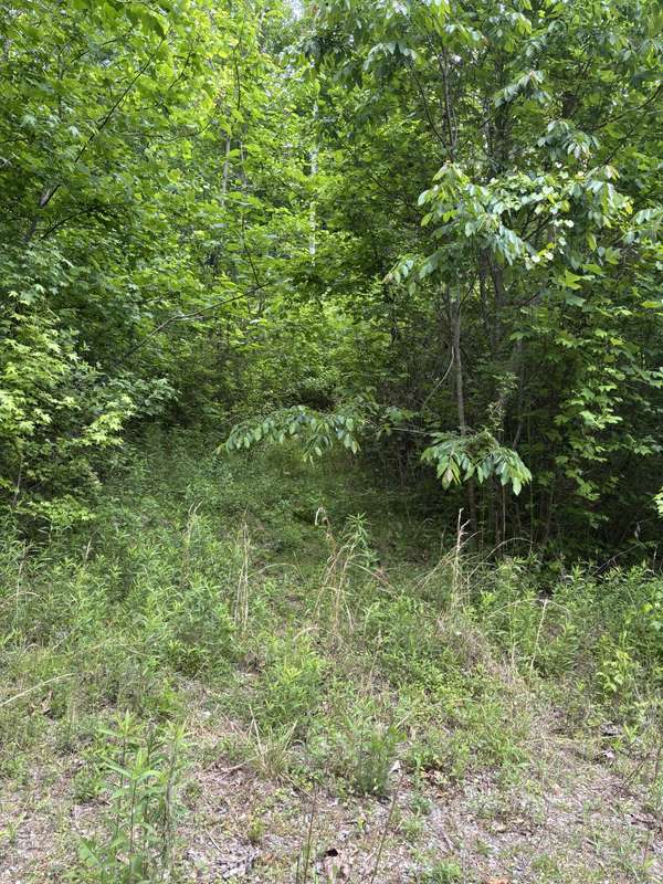 225 Hollow Road, Whitwell, TN 37397