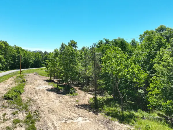 321 Ridgetop Rd, Hampshire, TN 38461
