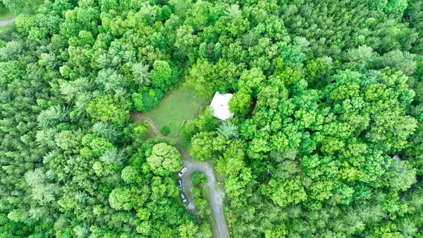 200 Peachtree Lane, Tellico Plains, TN 37385