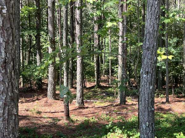 940 Crockett Point, Jasper, TN 37347