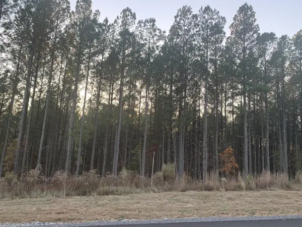 940 Crockett Point, Jasper, TN 37347