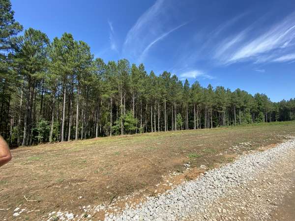 940 Crockett Point, Jasper, TN 37347