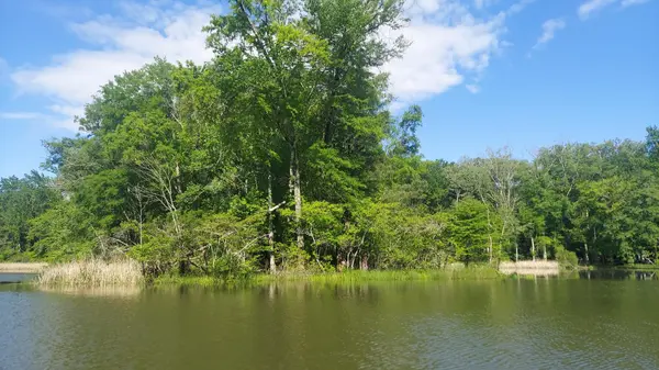 5 Warren Lane, Decatur, TN 37322