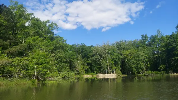 5 Warren Lane, Decatur, TN 37322